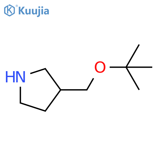 3-(tert-butoxy)methylpyrrolidine structure