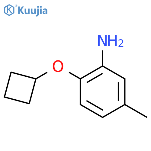 2-Cyclobutoxy-5-methylaniline structure