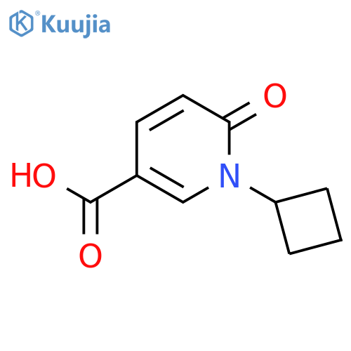 1-Cyclobutyl-6-oxo-1,6-dihydropyridine-3-carboxylic acid structure