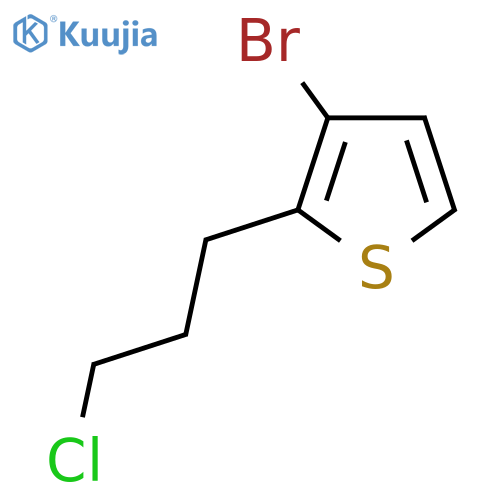 Thiophene, 3-bromo-2-(3-chloropropyl)- structure
