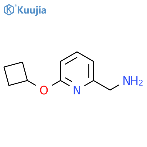 (6-Cyclobutoxypyridin-2-yl)methanamine structure