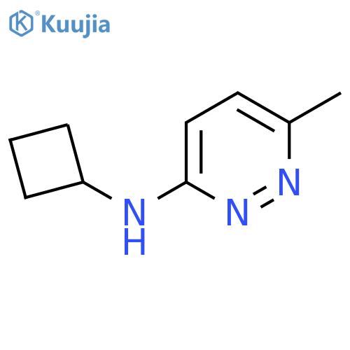 N-cyclobutyl-6-methylpyridazin-3-amine structure