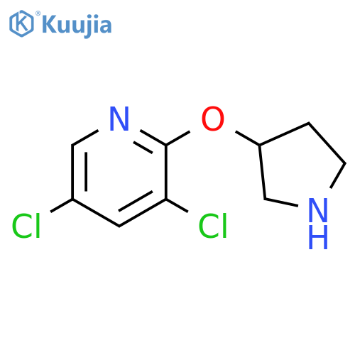 3,5-dichloro-2-(pyrrolidin-3-yloxy)pyridine structure