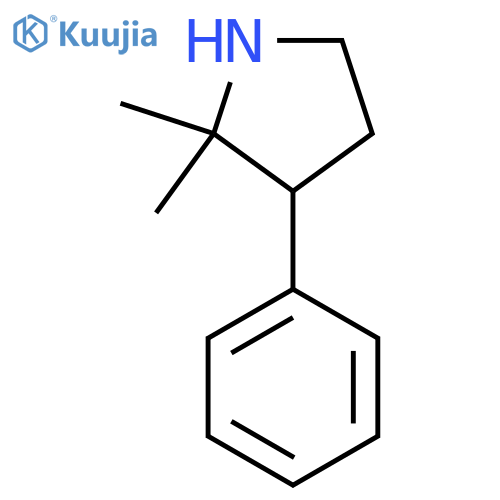 2,2-Dimethyl-3-phenylpyrrolidine structure
