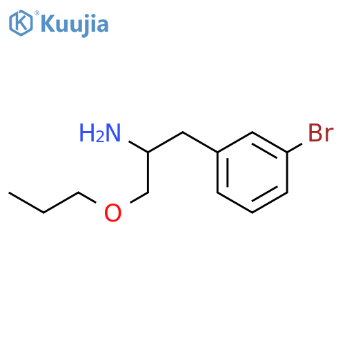 1-(3-bromophenyl)-3-propoxypropan-2-amine structure