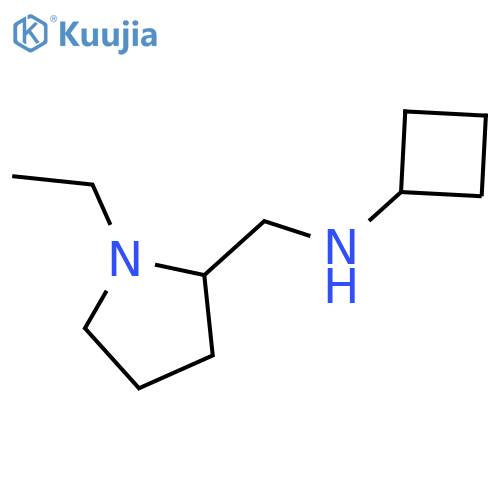 N-[(1-ethylpyrrolidin-2-yl)methyl]cyclobutanamine structure
