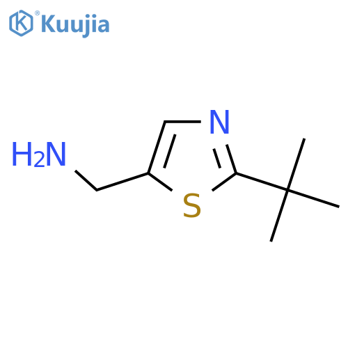 (2-tert-butyl-1,3-thiazol-5-yl)methanamine structure