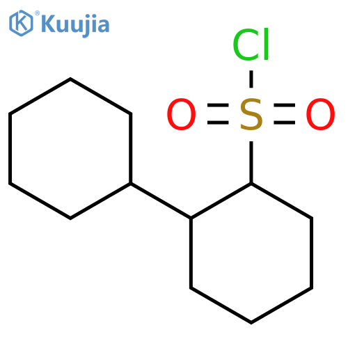 2-cyclohexylcyclohexane-1-sulfonyl chloride structure