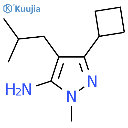 3-Cyclobutyl-1-methyl-4-(2-methylpropyl)-1h-pyrazol-5-amine structure
