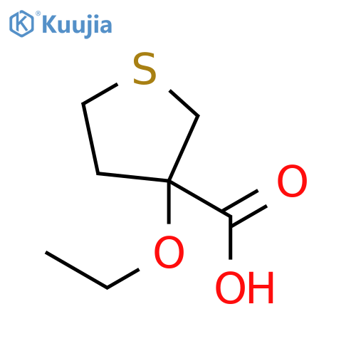 3-ethoxythiolane-3-carboxylic acid structure