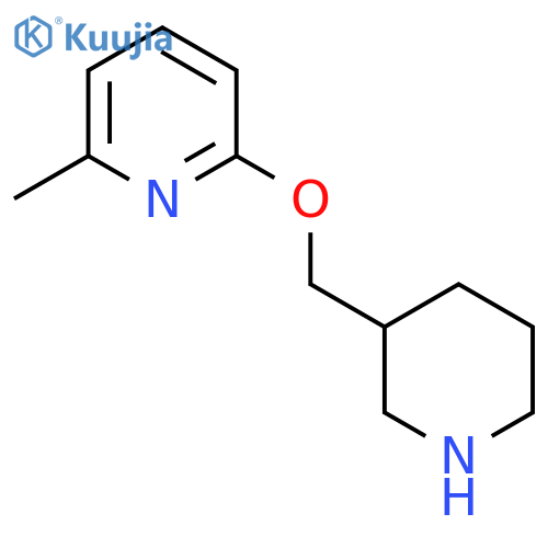 2-methyl-6-[(piperidin-3-yl)methoxy]pyridine structure