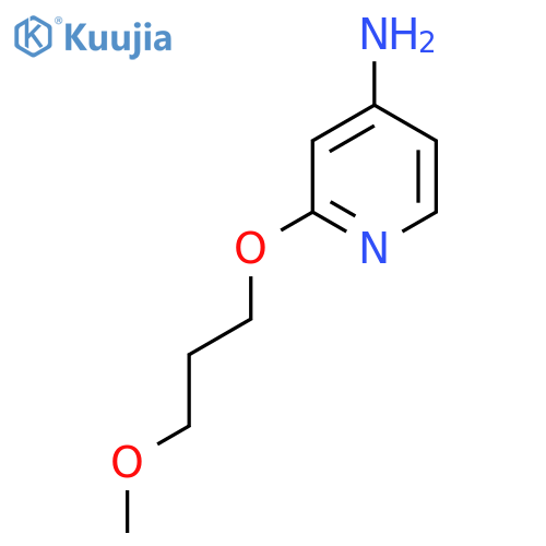 2-(3-methoxypropoxy)pyridin-4-amine structure