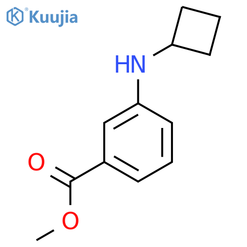 Methyl 3-(cyclobutylamino)benzoate structure