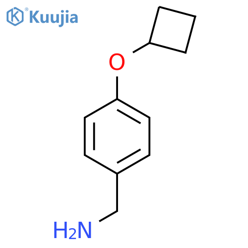 (4-Cyclobutoxyphenyl)methanamine structure