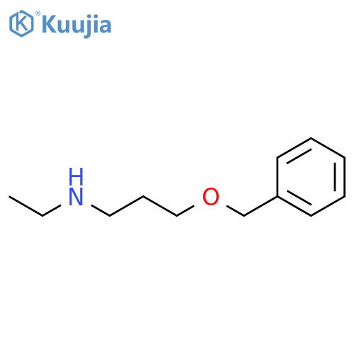 3-(benzyloxy)propyl(ethyl)amine structure