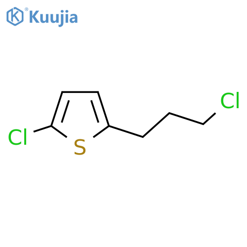 2-Chloro-5-(3-chloropropyl)thiophene structure