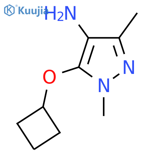 5-Cyclobutoxy-1,3-dimethyl-1h-pyrazol-4-amine structure