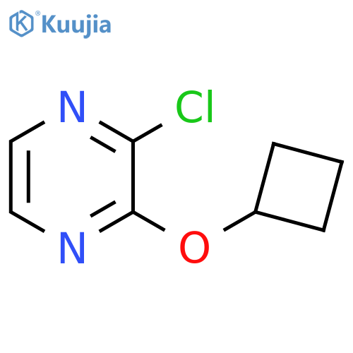 2-chloro-3-cyclobutoxypyrazine structure