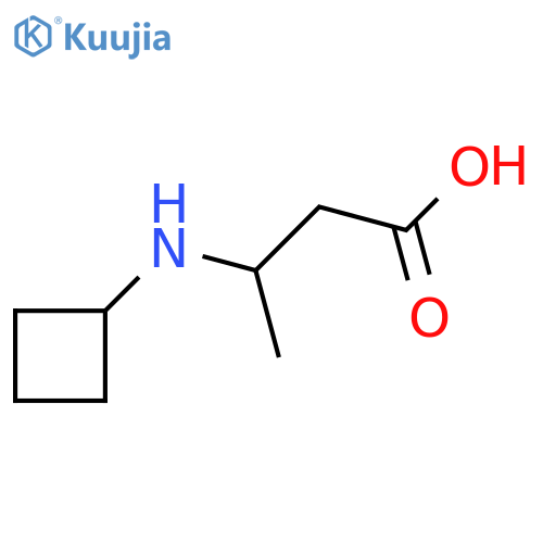 3-(Cyclobutylamino)-butanoic acid structure