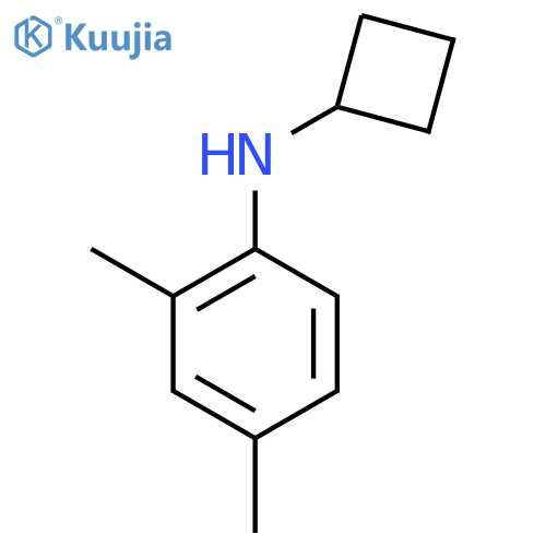 N-cyclobutyl-2,4-dimethylaniline structure