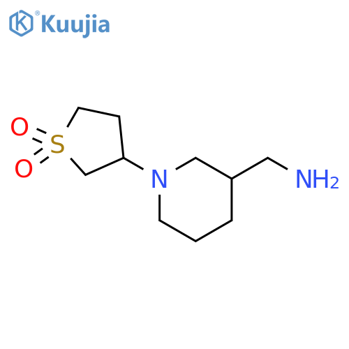 3-[3-(aminomethyl)piperidin-1-yl]-1lambda6-thiolane-1,1-dione structure
