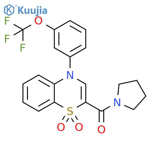 2-(pyrrolidine-1-carbonyl)-4-[3-(trifluoromethoxy)phenyl]-4H-1lambda6,4-benzothiazine-1,1-dione structure