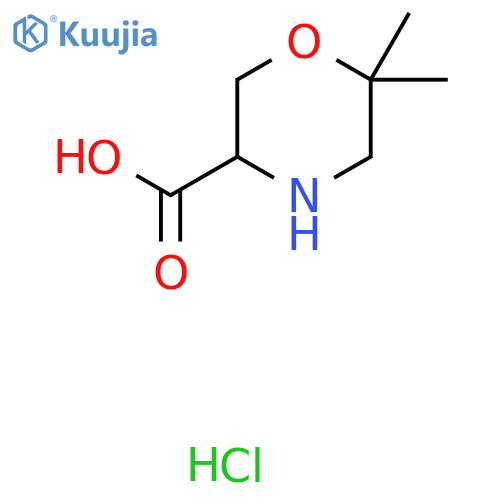 6,6-dimethylmorpholine-3-carboxylic acid;hydrochloride structure