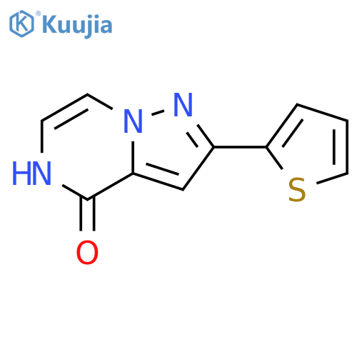 2-(thiophen-2-yl)-4H,5H-pyrazolo[1,5-a]pyrazin-4-one structure