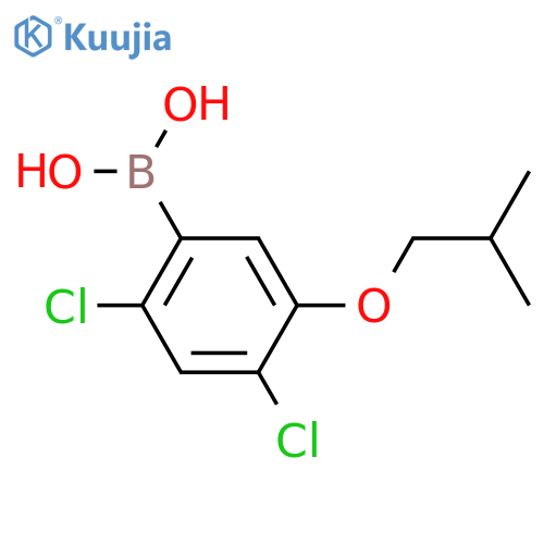 (2,4-Dichloro-5-isobutoxyphenyl)boronic acid structure