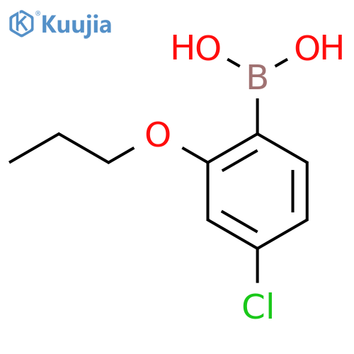 4-Chloro-2-propoxyphenylboronic acid structure