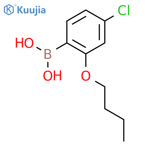 (2-Butoxy-4-chlorophenyl)boronic acid structure