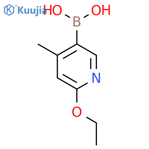 2-Ethoxy-4-methylpyridine-5-boronic acid structure