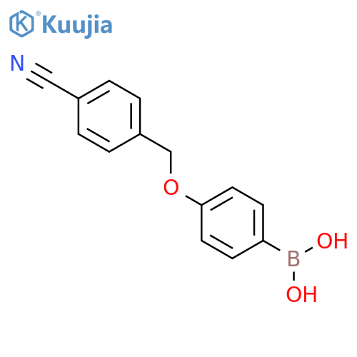 (4-((4-Cyanobenzyl)oxy)phenyl)boronic acid structure
