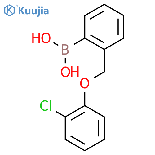 2-(2-Chlorophenoxymethyl)phenylboronic acid structure