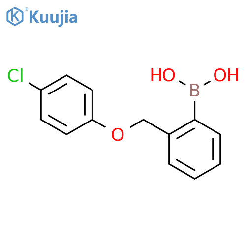 (2-((4-Chlorophenoxy)methyl)phenyl)boronic acid structure