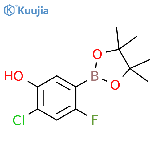 4-Chloro-2-fluoro-5-hydroxyphenylboronic acid pinacol ester structure