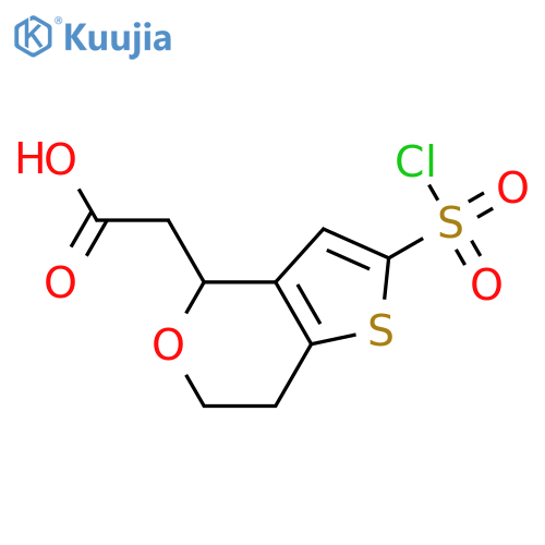 2-2-(chlorosulfonyl)-4H,6H,7H-thieno3,2-cpyran-4-ylacetic acid structure