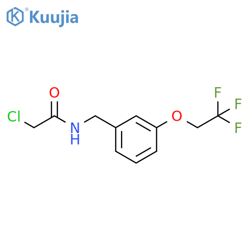 2-chloro-N-{3-(2,2,2-trifluoroethoxy)phenylmethyl}acetamide structure