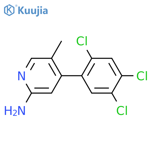 2-Amino-5-methyl-4-(2,4,5-trichlorophenyl)pyridine structure