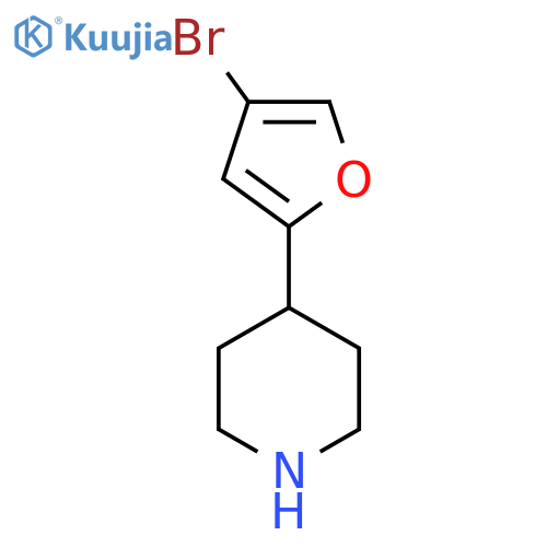 4-(4-bromofuran-2-yl)piperidine structure