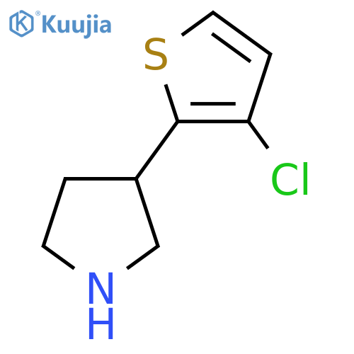 3-(3-chlorothiophen-2-yl)pyrrolidine structure