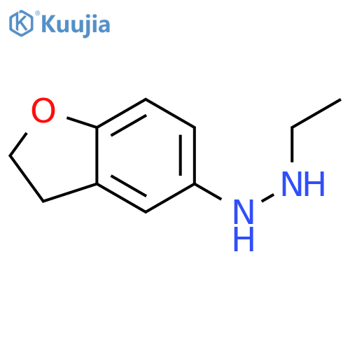 2-(2,3-dihydro-1-benzofuran-5-yl)ethylhydrazine structure