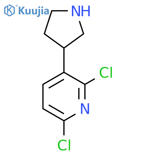2,6-dichloro-3-(pyrrolidin-3-yl)pyridine structure