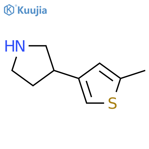 3-(5-methylthiophen-3-yl)pyrrolidine structure