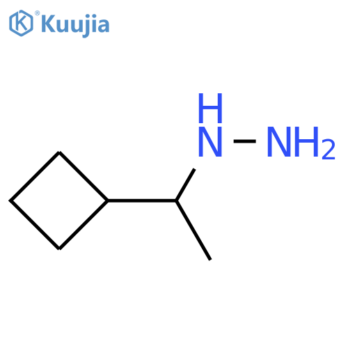 (1-cyclobutylethyl)hydrazine structure