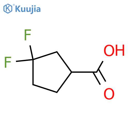 3,3-difluorocyclopentane-1-carboxylic acid structure