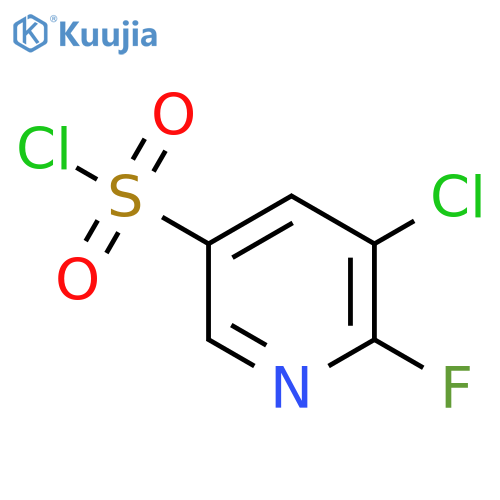 5-chloro-6-fluoropyridine-3-sulfonyl chloride structure