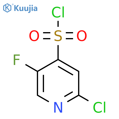 2-Chloro-5-fluoropyridine-4-sulfonyl chloride structure
