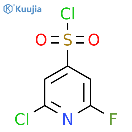 2-Chloro-6-fluoropyridine-4-sulfonyl chloride structure