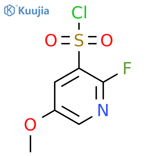 2-Fluoro-5-methoxypyridine-3-sulfonyl chloride structure